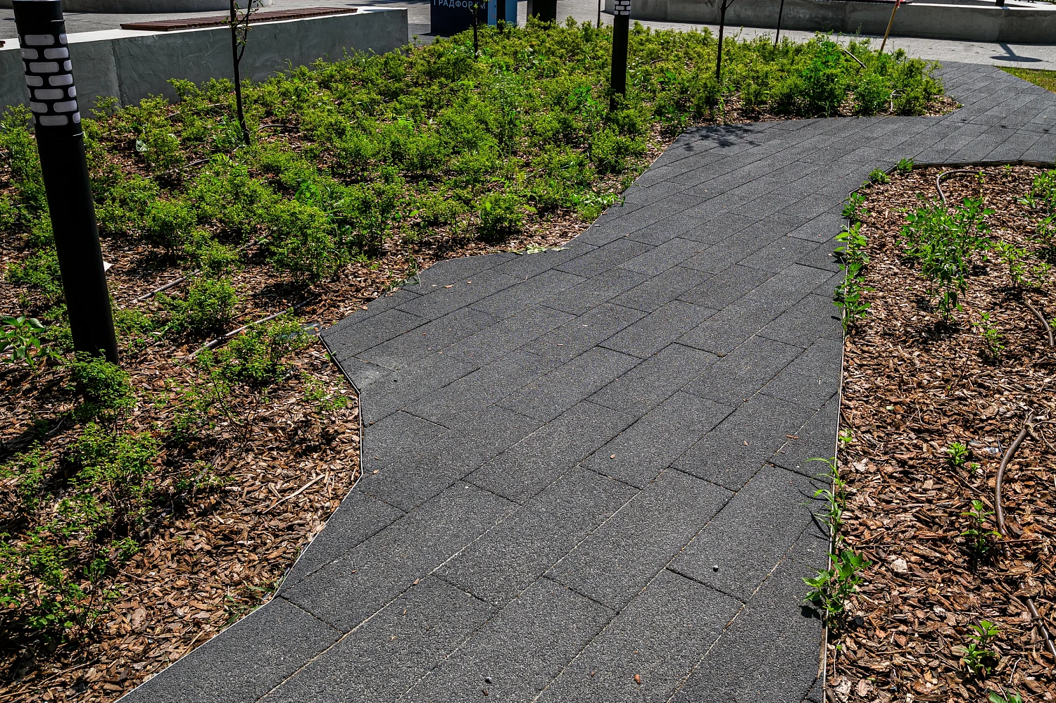 Сквер с историей географов открыли по улице Дзержинского в Тюмени