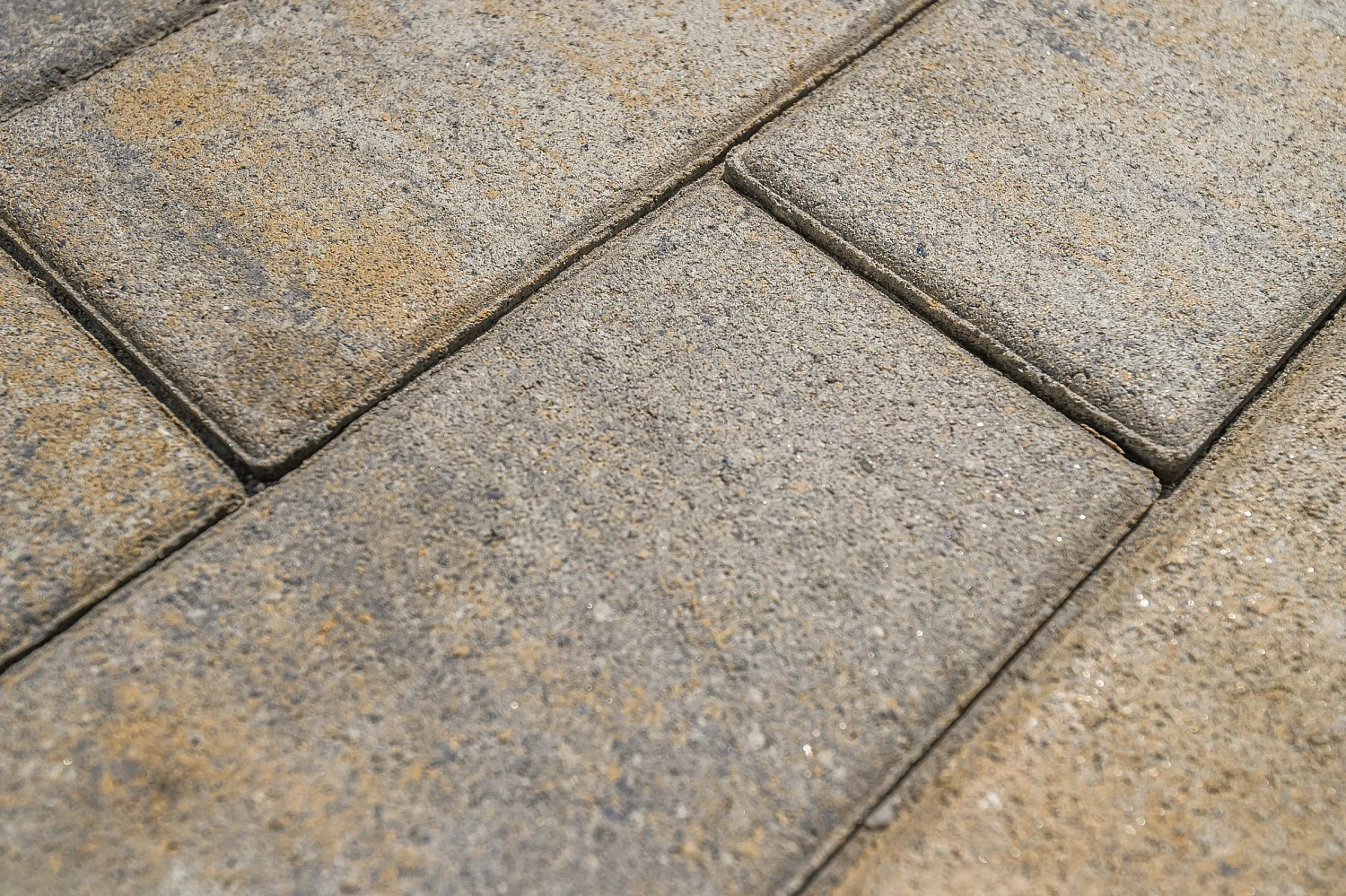 Тюменский Государственный Университет (ТюмГУ) новый корпус