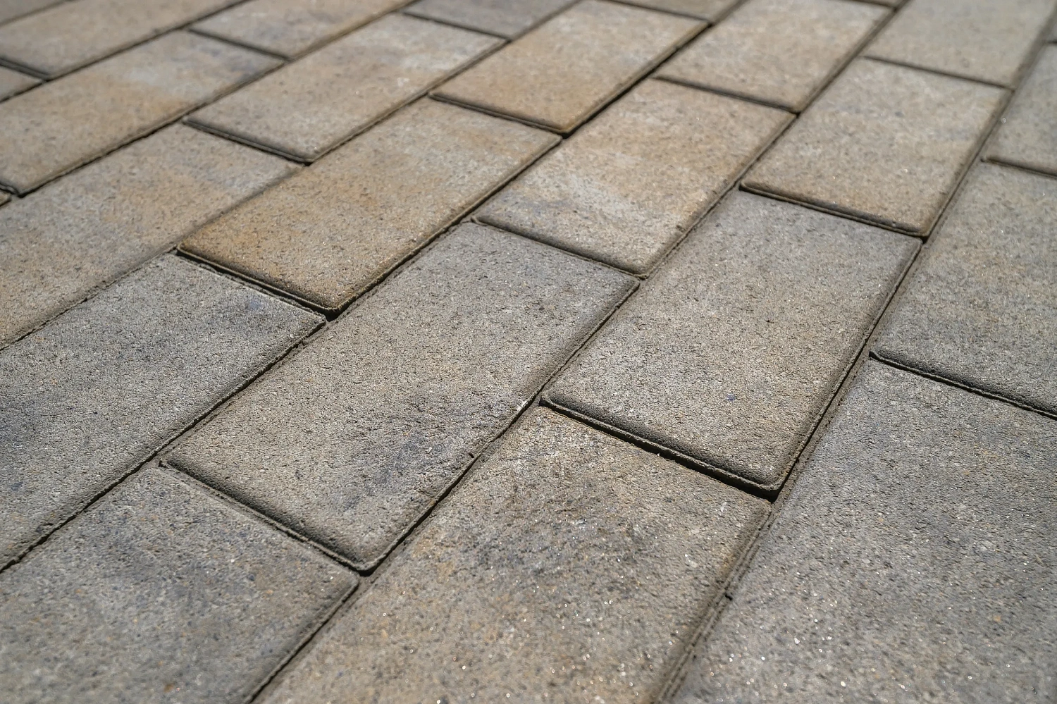 Тюменский Государственный Университет (ТюмГУ) новый корпус