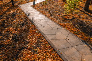 Каталог тротуарной плитки